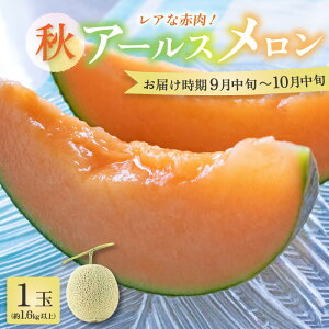 yӂ邳Ɣ[Łzys\zyԓzH A[X 1ʁi1.6kgȏji I ^ }XN  ʕ t[c Mtg _ƒ 2026N9{ȍ~