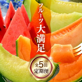 【ふるさと納税】【先行予約】《定期便全5回》フルーツ大満足定期便 ／ すいか マスクメロン 高級メロン 大玉 果物 フルーツ 夏 ギフト 農家直送 ※2026年6月上旬以降発送