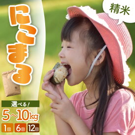 【ふるさと納税】【令和7年産】にこまる 精米 定期便【選べる容量：5kg / 10kg（5kg×2袋）】【選べる回数：1回 / 6回 / 12回 】 ＜食味値85点以上！低農薬栽培＞／ 5キロ 10キロ 高品質 鮮度抜群 福井県 あわら産 白米 お米 米