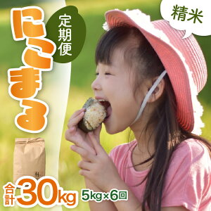 �y�ӂ邳�Ɣ[�Łz�y�ߘa7�N�Y �V�āz����ցs6�����A�����͂��t�ɂ��܂� ���� 5kg�i�v30kg�j����_��͔|�� �^ 5�L�� ���i�� �N�x���Q ���䌧 �����Y �u�����h�� ���� ���� ��