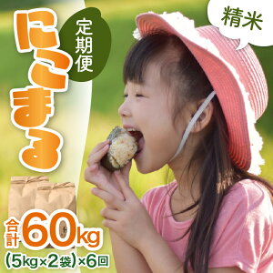 �y�ӂ邳�Ɣ[�Łz�y�ߘa7�N�Y �V�āz����ցs6�����A�����͂��t�ɂ��܂� ���� 5kg×2�� 10kg�i�v60kg�j����_��͔|�� �^ ���i�� �N�x���Q ���䌧 �����Y �u�����h�� ���� ���� ��