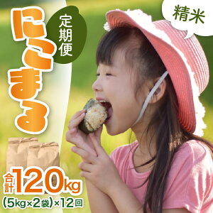 �y�ӂ邳�Ɣ[�Łz�y�ߘa7�N�Y �V�āz����ցs12�����A�����͂��t���� �ɂ��܂� 10kg �i5kg×2�܁j�v120kg ����_��͔|�� �^ ���i�� �N�x���Q ���䌧 �����s�Y �u�����h�� ���� ���� ��