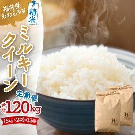 【ふるさと納税】【令和7年産】定期便《12ヶ月連続お届け》ミルキークイーン 精米 10kg （5kg×2袋）計120kg＜低農薬栽培＞ ／ 高品質 鮮度抜群 福井県あわら市産 白米 お米 米