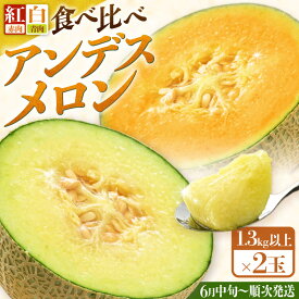 【ふるさと納税】【先行予約】紅白アンデスメロン 青肉・赤肉 食べ比べセット 4L(1玉1.3kg以上）×2玉 ／ 果物 フルーツ 産地直送 糖度 ギフト 贈り物 福井県あわら市 ※2027年6月中旬以降順次発送