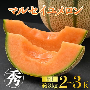 yӂ邳Ɣ[Łzys\z _̃}ZC 3kgOsGit(2`3ʓj[݂̂Â Ƃ낯ZȐԓI_ƒ L@엿 _ x 2026N6{菇