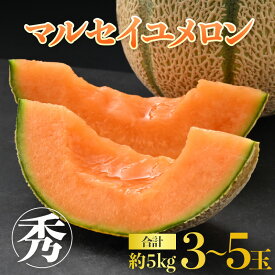 【ふるさと納税】【先行予約】佐藤農園のマルセイユメロン 約5kg 秀品（3～5玉入）深みのある甘さ とろける濃厚な赤肉！農家直送 糖度 有機肥料 低農薬 ※2026年6月上旬より順次発送予定