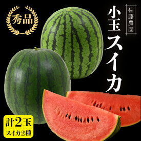 【ふるさと納税】【先行予約】抜群の甘さ！佐藤農園の小玉スイカ 食べ比べセット(ひとりじめ+ひとりじめナノまたはピノガール) 2玉（計3kg以上）／ 秀品 農家直送 有機肥料 低農薬 ※2027年5月下旬～6月末の間に順次発送予定