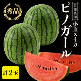 【ふるさと納税】【先行予約】佐藤農園の小玉スイカ ピノガール 2玉（計3kg以上）／福井県 あわら市 フルーツ 夏 果物 西瓜 秀品 農家直送 有機肥料 低農薬 佐藤農園※2026年6月上旬より順次発送予定