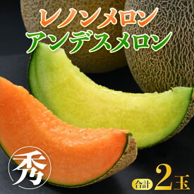 【ふるさと納税】【先行予約】メディアで紹介！今話題のレノン 佐藤農園の赤肉と青肉食べ比べ計2玉（レノンメロン・アンデスメロン）農家直送 秀品 お届け！ / フルーツ くだもの 特産 旬 夏 果物 完熟 メロン 朝どれ 美味しい お取り寄せ 贈答 ※2026年6月中旬より順次発送