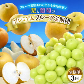 【ふるさと納税】《先行予約》福井県産 フルーツ 定期便 3回（幸水梨 シャイン マスカット 新興梨）果物 大玉 梨 ブドウ 大粒 種無し 皮ごと 新鮮 朝どれ もぎたて 美味しい 樹上 完熟 プレミアム お取り寄せ ※2026年8月中旬頃より順次発送