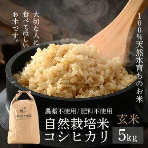 yӂ邳Ɣ[Łzys\zyߘa8NY Vāzɗ^q_̎R͔| RVqJ  5kg y䌧Fؕāzɗ^q_̓ʍ͔| xƎx펞ǗVNĂoׁI / 