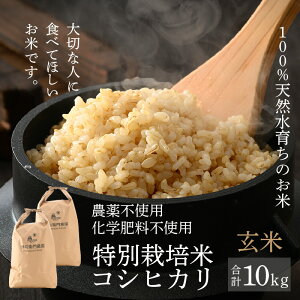 yӂ邳Ɣ[Łzys\zy8NY VāzRVqJ  10kg ʍ͔| 5kg×2 _ w엿sgp / ɗ^q_̓ʍ͔| i NxQ 䌧 sY uh R