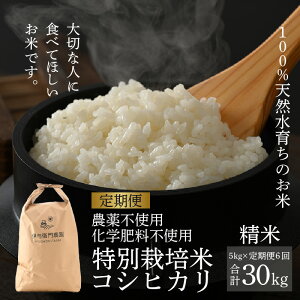 �y�ӂ邳�Ɣ[�Łz�y��s�\��z�y�ߘa8�N�Y �V�āz�s�����6��t�R�V�q�J�� ���� 5kg�i�v30kg�j ���ʍ͔|�� ���w�엿�s�g�p / �ɗ^�q��_���̓��ʍ͔|�� ���i�� �N�x���Q ���䌧 �����s�Y �u