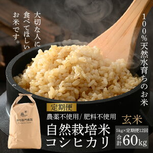 yӂ邳Ɣ[Łzys\zyߘa8NY Vāzy12zɗ^q_̎R͔|RVqJ 5kg×12 ɗ^q_̓ʍ͔| xƎx펞ǗVNĂoׁ /  