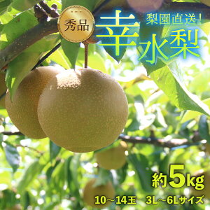 yӂ邳Ɣ[Łzys\z엜̍K 10`14ʓ 5kg 3L`6LyGizsʌtI / Ԍ ʕ t[c _ƒ VLVL  {  2026N8
