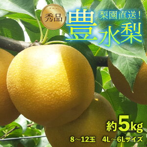 yӂ邳Ɣ[Łzys\z엜̖L 8`12ʓ 5kg 4L`6LyGizsʌtI / Ԍ ʕ t[c _ƒ VLVL  {  2025N9