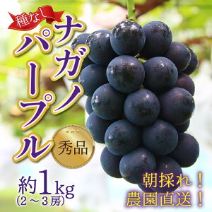yӂ邳Ɣ[Łzys\zȂ ̂ Gi 엜̃iKmp[v 1kg _ ̕ / Ԃǂ t[c ʕ   yY { 炲ƐHׂ |tFm[ e 