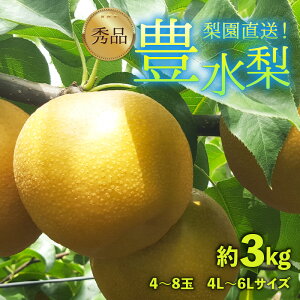 yӂ邳Ɣ[Łzys\z엜̖L 3kg 4L`6LyGizsʌtI / Ԍ ʕ t[c _ƒ VLVL  {  2026N9{菇