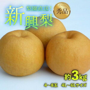 yӂ邳Ɣ[Łzys\z엜̐V 3kg 4L`6LyGizsʌtI / Ԍ ʕ t[c _ƒ VLVL  {  2026N10{