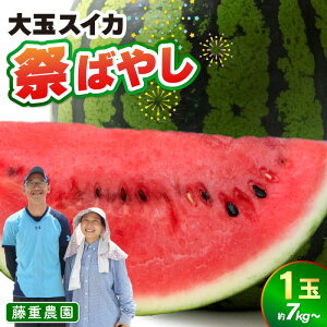 yӂ邳Ɣ[Łzys\zd_̑ʃXCJwՂ΂₵x 1ʁi7kg`j ᖞx傫ȃXCJ^ ʕ t[c Z  Mtg _ƒ  r^~Lx 䌧 