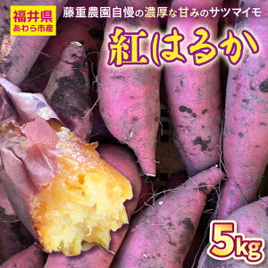 yӂ邳Ɣ[Łzys\z䌧sY d_̔ZȊẪ݂Tc}C g͂邩 5kg / ܂ g͂邩 ׂɂ͂邩 ܈ Y yt  Yn n Tc}C 