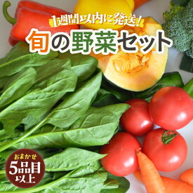 【ふるさと納税】【1週間以内で発送！】道の駅駅長チョイス！ 旬の野菜セット 5品目以上 / 季節 野菜 ボックス BOX セット セレクト 農家 おまかせ 多品目 旬 詰め合わせ 根菜 葉物