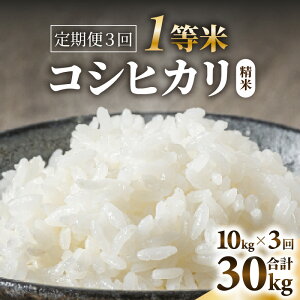 yӂ邳Ɣ[Łzyߘa7NYzց3A͂ yꓙāzRVqJ  10kg × 3iv30kgj ^   ꓙ 䌧Y uh    R VN V