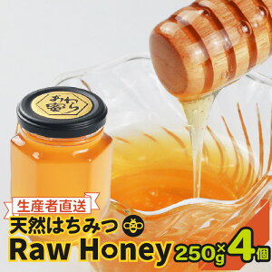 yӂ邳Ɣ[ŁzyVR݂͂z raw honey 疨 1 / 4 M YҒ I ~co` ݂͂ [[[ ݂͂ ݂΂