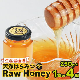 【ふるさと納税】【天然はちみつ】 raw honey あわら蜜 1個 / 4個 非加熱 生産者直送 蜂蜜 ミツバチ 純はちみつ ローヤルゼリー 生はちみつ みつばち