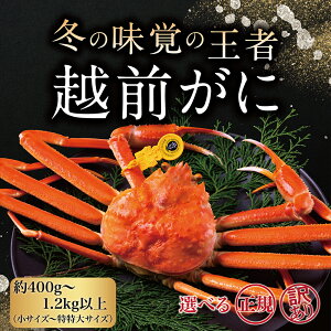 yӂ邳Ɣ[ŁzzO (IX) 킢 400g`1.2kgȏ Iׂ K 󂠂 I /   䌧 zOs   Jj I zO zOKj zOJj YCKj Y s  