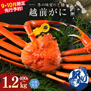 yӂ邳Ɣ[Łzs\q9E10ԌKirzO (IX) 킢 400g`1.2kgȏ Iׂ K 󂠂 I /   䌧 zOs   Jj I zO zOKj zO