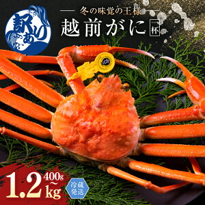 yӂ邳Ɣ[ŁzzO (IX) 킢 400g`1.2kgȏ Iׂ K 󂠂 I /   䌧 zOs   Jj I zO zOKj zOJj YCKj Y s  