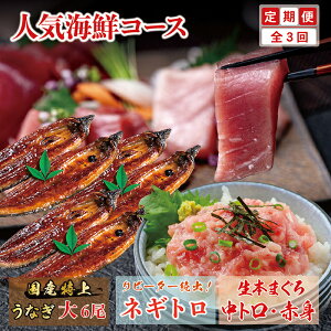 yӂ邳Ɣ[Łzy3z喞6lOIlCCN  3 R[XiȂ6 lMg1kg Ԑg400g g400gj/   䌧 zOs  CN  V ˂Ƃ  }O ܂