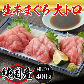 【ふるさと納税】【冷蔵・指定日着可】国産 生本マグロ 大トロ400g(柵どり) /送料無料 福井県越前市 鮪 新鮮 お刺身 おさしみ お造り おつくり おろし ブロック 魚 切り身 切身 海鮮 丼 海鮮丼 まぐろ丼 漬け 漬け丼 発送時期が選べる(18209)