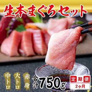 yӂ邳Ɣ[Łzy2z①ł͂IlC̐{܂늬\Zbgiǂj v750g × 2񂨓͂ i͂j 2 /   䌧 zOs  }O Ⓚ ܂ }O