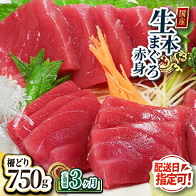 【ふるさと納税】【定期便3回】大満足！生本まぐろ赤身 750g（柵どり） × 3回お届け （毎月お届け） 3ヶ月 / 送料 無料 福井県 越前市 武生 鮪 マグロ 未冷凍 生まぐろ 生マグロ 本鮪 コース 新鮮 お刺身 お造り おろし ブロック 魚 切り身 海鮮丼 漬け丼 (18209)