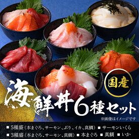 【ふるさと納税】〈指定日着可〉【純国産】数量限定！海鮮丼の具の贅沢6種類セット/ 送料無料 福井県 越前市 武生 冷凍 鮪 まぐろ サーモン タイ 鯛 鮭 いくら タレ付き いか イカ ぶり ブリ とびっこ 発送時期が選べる(18209)