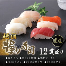【ふるさと納税】冷凍 越前握り6貫 （1パック×2 合計12貫）/ 送料無料 福井県 越前市 武生 冷凍 鮪 まぐろ サーモン タイ 鯛 タレ付き いか イカ いか ブリ(18209)