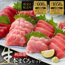 【ふるさと納税】【冷蔵・指定日着可】国産 生本マグロ堪能セット（柵どり）大トロ 中トロ 赤身 各200g・各350g/ 送料無料 福井県 越前市 鮪 生まぐろ 生マグロ 本鮪 大とろ 中とろ 新鮮 お刺身 お造り 海鮮丼 まぐろ丼 発送時期が選べる（18209）