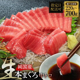 【ふるさと納税】レビューキャンペーン実施中【冷蔵・指定日着可】国産 生本マグロ 中トロ 220g～700g(柵どり) / 送料 無料 福井県 越前市 鮪 未冷凍 生まぐろ 生マグロ 本鮪 中とろ 新鮮 お刺身 おさしみ お造り 切身 海鮮 海鮮丼 まぐろ丼 漬け 発送時期が選べる(18209)
