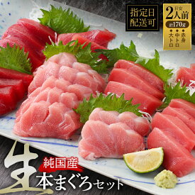【ふるさと納税】国産の本マグロを『生』のまま直送！大トロ・中トロ・赤身を合計約170g(約50g/約50g/約70g)でお届け【指定日着可】（18209）発送時期が選べる 1月・2月は順次配送