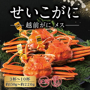 yӂ邳Ɣ[Łzy①ENzzzO(X)uɁv 150gO`220gO 3t`10t K 󂠂I /   䌧 zOs   Jj I zO zOKj zOJj 