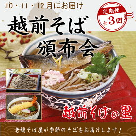 【ふるさと納税】【3回定期便：2025年10月スタート】楽天そばランキング常連 越前そばの里 毎月違う「越前そば」が届く お楽しみ頒布会 送料無料 福井県 越前市 そば 越前そば （18209）