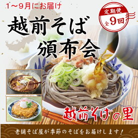 【ふるさと納税】【9回定期便：2026年1月スタート】楽天そばランキング常連 越前そばの里 毎月違う「越前そば」が届く お楽しみ頒布会 送料無料 福井県 越前市 そば 越前そば （18209）