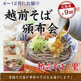 【ふるさと納税】【9回定期便：寄附2025年4月スタート】楽天そばランキング常連 越前そばの里 毎月違う「越前そば」が届く お楽しみ頒布会 送料無料 福井県 越前市 そば 越前そば （18209）