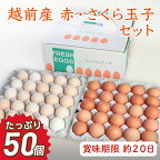 お届け日指定可　越前産 赤玉子とさくら玉子セット合計50個（45個+割れ補償5個入り）／送料無料 福井県 越前市 卵 たまご タマゴ (18209)