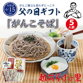 【ふるさと納税】 予約受付中！ 父の日 がんこそば5食 （越前そばの里） 父の日ランキング入賞！とろろそば 送料無料 福井県 越前市（B814-1）ギフト 越前そば