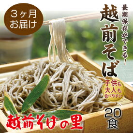 【ふるさと納税】【定期便3回】創業90余年の老舗・越前そばの里　常温で長期保存できる「越前そば」20食　楽天そばランキング常連の 越前そばの里がふるさと納税でも！送料無料 そば 越前そば 福井県 越前市 おうち時間 蕎麦（18209）