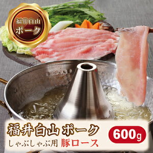 yӂ邳Ɣ[Łz䔒R|[N؃[XԂԗp@600g/   Y  zO  ؓ [X Ԃ(18209j