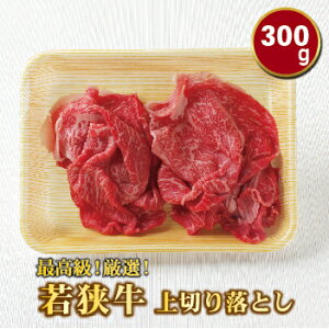 yӂ邳Ɣ[Łzዷ 300g ؂藎ƂiEJ^EojiA5Nj /   Y  zO   ₫ɂ Jr [X(18209j